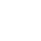 SheBorn