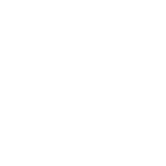 SheBorn